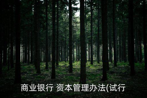 銀行內部資本充足評估程序,內部資本充足評估是第一支柱的核心內容