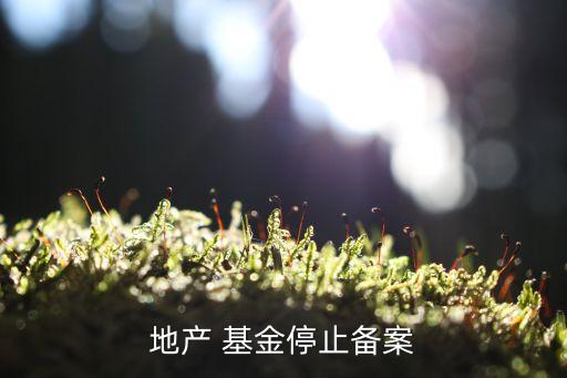 地產 基金停止備案