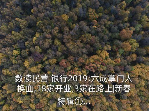 數讀民營 銀行2019:六成掌門人換血,18家開業,3家在路上|新春特輯①...