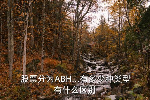  股票分為ABH...有多少種類型有什么區別