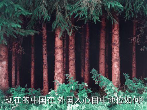 外國人對中國經濟的評價,2023中國經濟評價