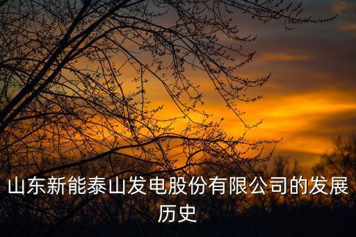 山東新能泰山發電股份有限公司的發展歷史