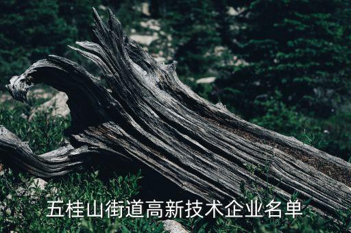 五桂山街道高新技術企業名單