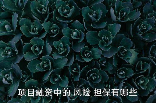 項目融資中的 風險 擔保有哪些
