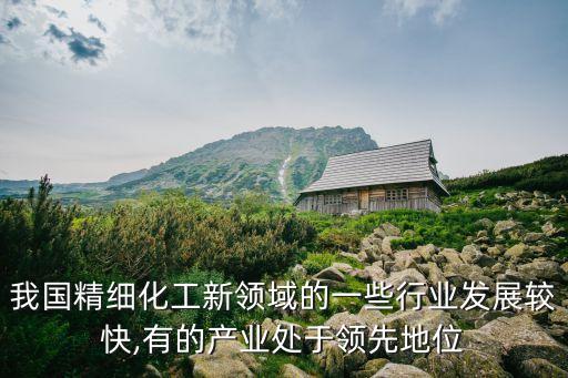 我國精細化工新領域的一些行業發展較快,有的產業處于領先地位
