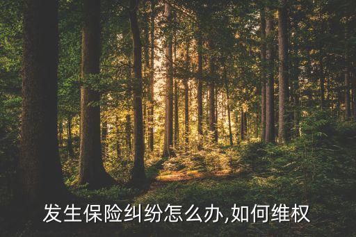發生保險糾紛怎么辦,如何維權