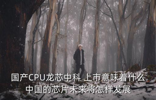 國產CPU龍芯中科 上市意味著什么中國的芯片未來將怎樣發展