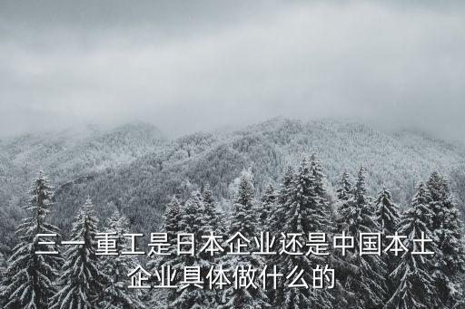  三一 重工是日本企業還是中國本土企業具體做什么的