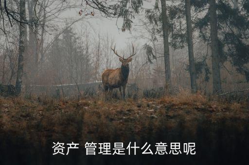 資產 管理是什么意思呢