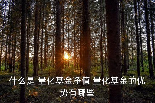 定量投資和量化投資,量化投資與傳統投資的不同點在于
