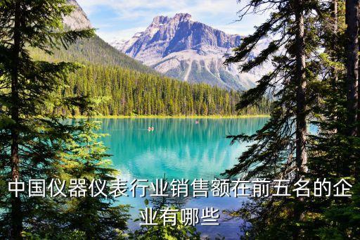 中國儀器儀表行業銷售額在前五名的企業有哪些