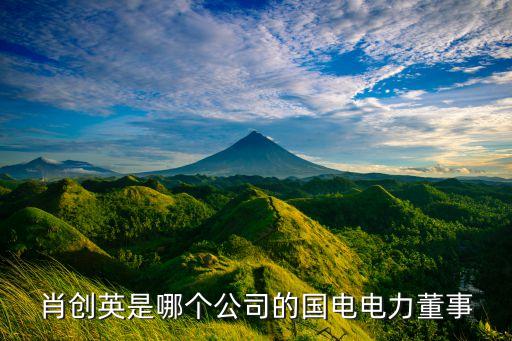 肖創英是哪個公司的國電電力董事