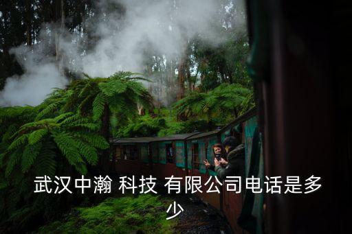 武漢聯橫中略科技有限公司