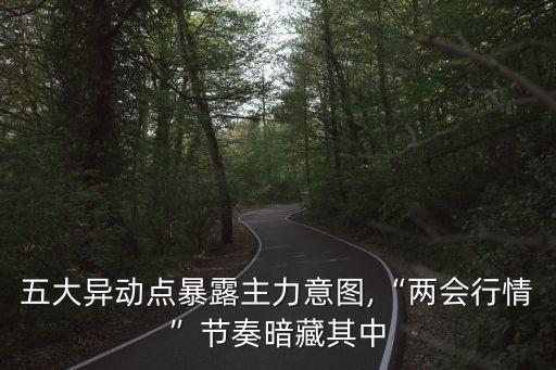 五大異動點暴露主力意圖,“兩會行情”節奏暗藏其中