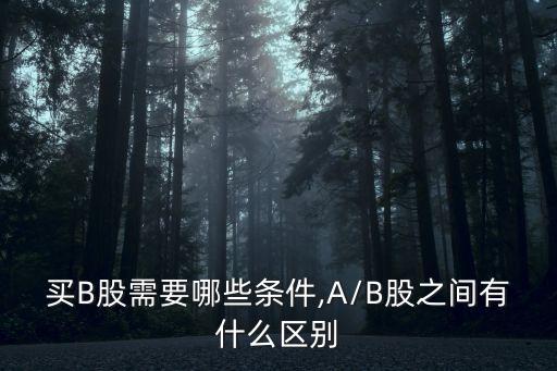 買B股需要哪些條件,A/B股之間有什么區別