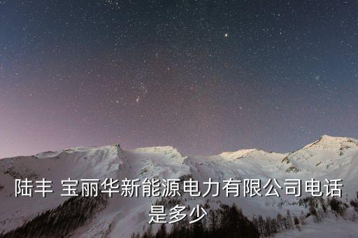 寶麗華集團百億企業,廣東寶麗華集團實際控制人