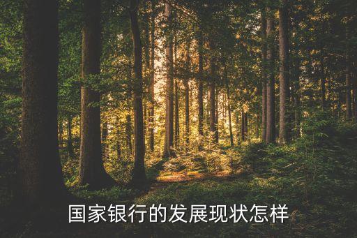 國家銀行的發展現狀怎樣