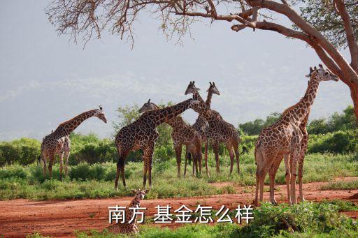 南方大數據300a基金凈值,大數據300a基金001420