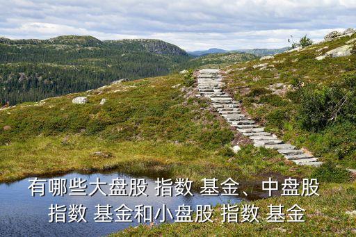 有哪些大盤股 指數 基金、中盤股 指數 基金和小盤股 指數 基金
