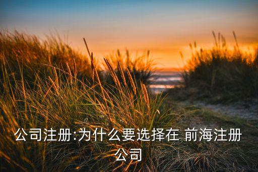 深圳前海金融公司的地理優勢