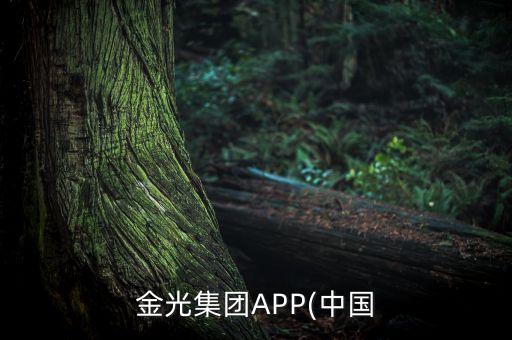 金東紙業公司現狀,鎮江金東紙業現狀