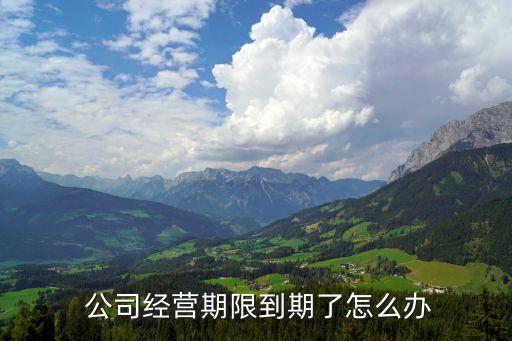 公司延期股東會決議,營業執照延期股東會決議怎么寫