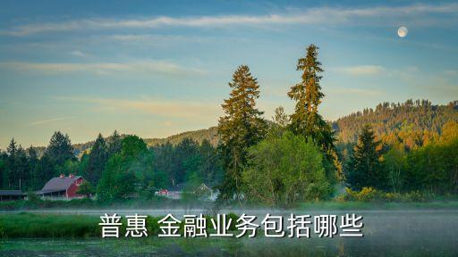 普惠 金融業務包括哪些