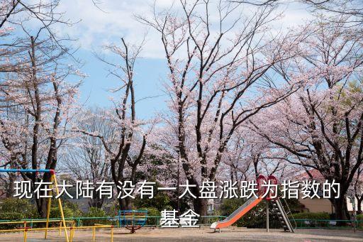 現在大陸有沒有一大盤漲跌為指數的 基金
