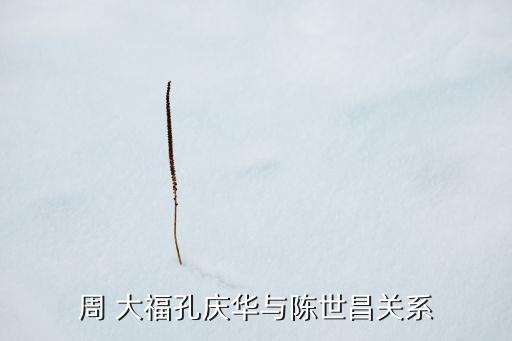 周 大?？讘c華與陳世昌關(guān)系