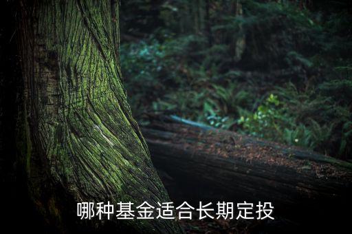 定投理財投資排行,理財投資產品排行
