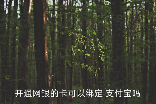 開通網銀的卡可以綁定 支付寶嗎