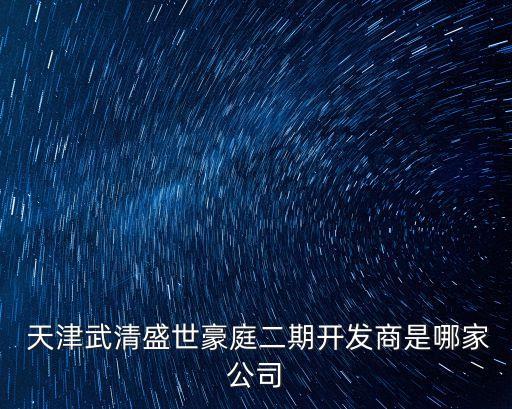 天津武清盛世豪庭二期開發商是哪家公司