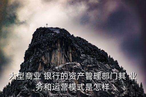什么是銀行資管業務,銀行入資單什么意思