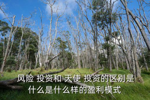  風險 投資和 天使 投資的區別是什么是什么樣的盈利模式
