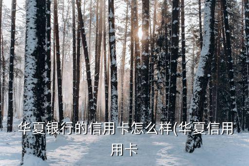 華夏銀行業務優勢