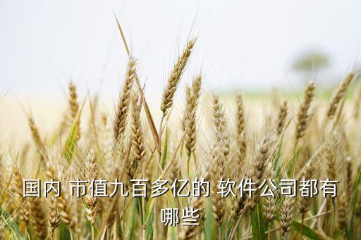 國內 市值九百多億的 軟件公司都有哪些