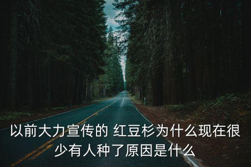以前大力宣傳的 紅豆杉為什么現在很少有人種了原因是什么