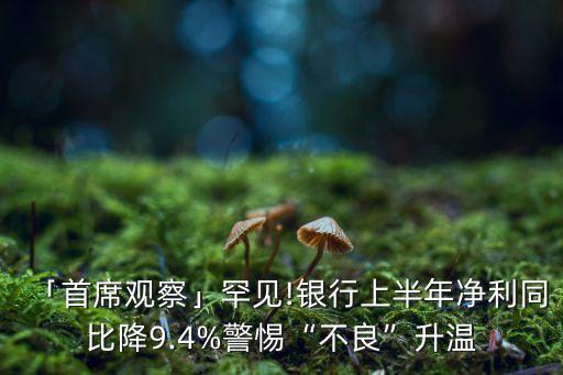 商業銀行凈息差,哪個銀行利率最高