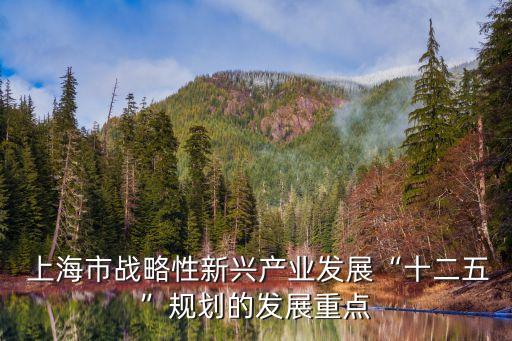  上海市戰略性新興產業發展“十二五”規劃的發展重點