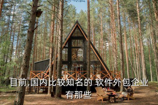 目前,國內比較知名的 軟件外包企業有那些