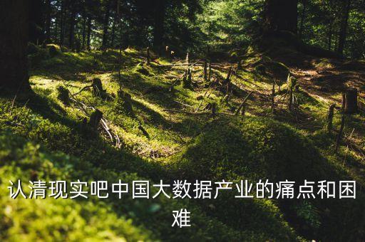 認清現實吧中國大數據產業的痛點和困難