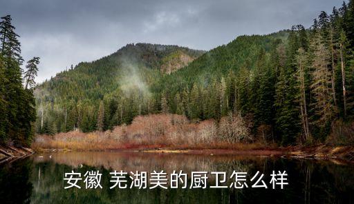 安徽 蕪湖美的廚衛怎么樣