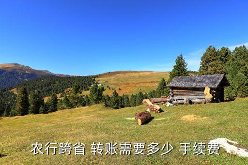  農行跨省 轉賬需要多少 手續費