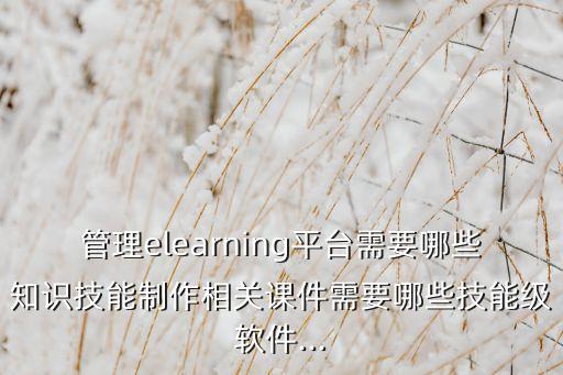 管理elearning平臺需要哪些知識技能制作相關課件需要哪些技能級軟件...