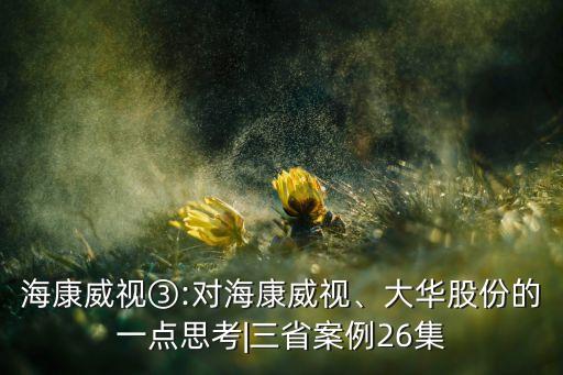 海康威視③:對海康威視、大華股份的一點思考|三省案例26集