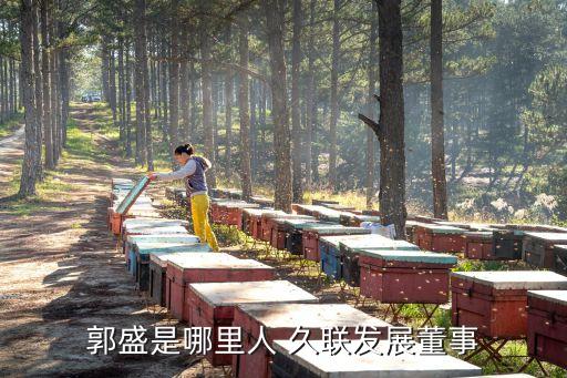 郭盛是哪里人 久聯發展董事