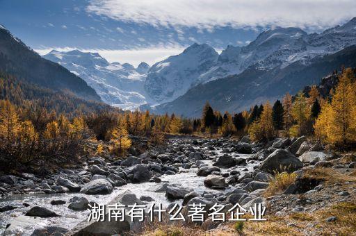 湖南有什么著名企業