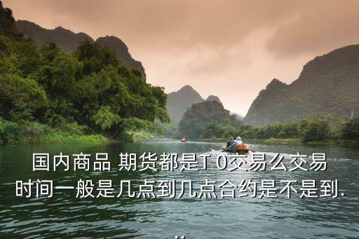 中國期貨業發展報告2013