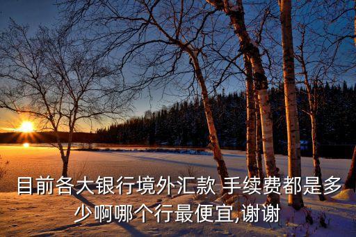 招商銀行美元鈔轉匯手續費,10000美元鈔轉匯手續費