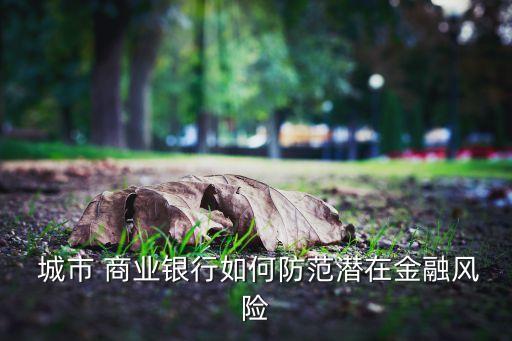  城市 商業銀行如何防范潛在金融風險